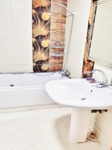 شقة بالمنظر البانورامي على النيل