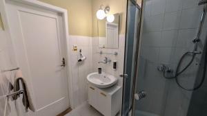 Flat in Zizkov -103-