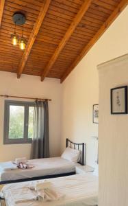 Olgas Sea View Studios, 400m from Ipsos Beach