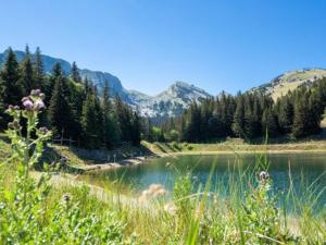 Maisons de vacances Maison confortable a Villard-de-Lans - 8 couchages, WiFi, parking gratuit, proche des pistes et du centre. - FR-1-548-5 : Maison de Vacances (8 Adultes)