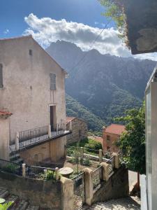 Appartements OTA T2 proche rivieres et plages, randonnees : photos des chambres