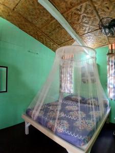 Bohol Hammock Hostel