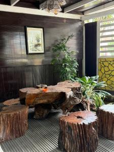 Nha Cua Bot Homestay 5BR 4BA in DaLat