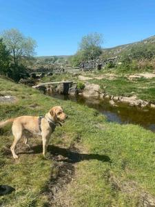 Charming dog-friendly Yorkshire Dales Cottage, Austwick