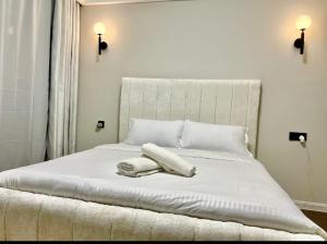 Voyage Ease One bedroom apartment near JKIA SGR