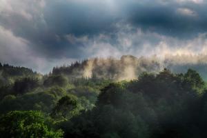 Комплекс Арда