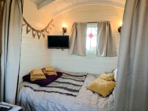 Halcyon - Shepherds Hut