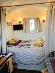 Halcyon - Shepherds Hut