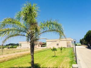 Appartamento con 1 Camera da Letto e Terrazza