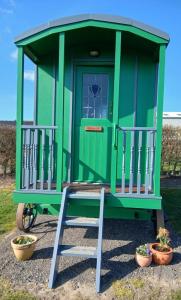 Halcyon - Shepherds Hut