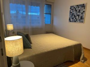 Standing Apartment in Ouchy - Lausanne