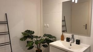 Appartements L-intemporel Central - Gare : photos des chambres