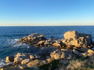 Appartements T2 direct sea access with garden : Appartement 1 Chambre