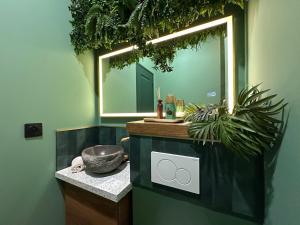 Appartements LE JUNGLE-ROOM, Sauna, Hyper-centre : photos des chambres