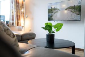 TER 215 - Terrassenhuegel - Seeblick