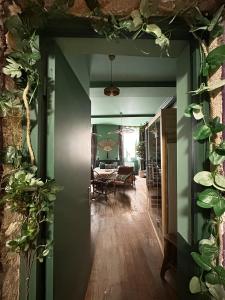 Appartements LE JUNGLE-ROOM, Sauna, Hyper-centre : photos des chambres