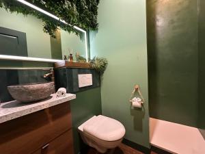 Appartements LE JUNGLE-ROOM, Sauna, Hyper-centre : photos des chambres
