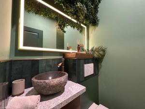 Appartements LE JUNGLE-ROOM, Sauna, Hyper-centre : photos des chambres