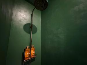 Appartements LE JUNGLE-ROOM, Sauna, Hyper-centre : photos des chambres