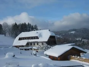 Appartement in Wittenschwand - Wittenschwand