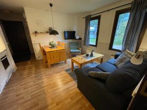 SÄLEN, Ski in-Ski out, Lägenhet 12C Grå Byn