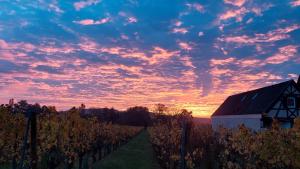 Appartements Gite Centre Alsace : photos des chambres