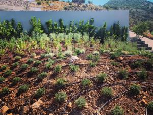 Alon Sevou Boutique Hotel