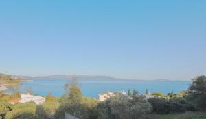 Mickys SeaView Gem