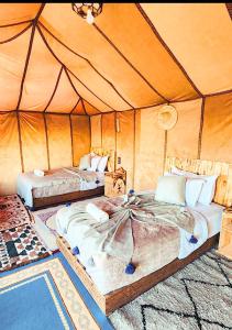 Expedition Luxury camp