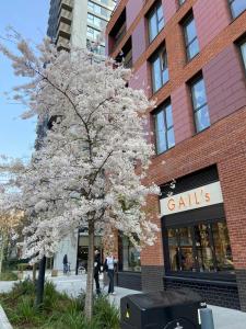 Serviced Apartments - Deluxe Double Studio