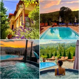 Pensiunea PORTAS RESORT - Bertea