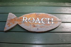 Roach Hut