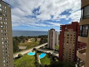 Ventisquero Grey Jardin del Mar - Renaca Bajo