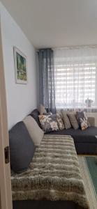 Vytauto Centriniai apartamentai