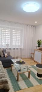 Vytauto Centriniai apartamentai