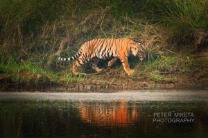 Tiger Corner Inn Homestay