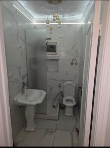 الاسكندريه ميامي عند مطعم جاد الدور السادس