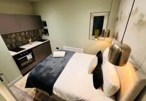 Luxury city centre London flats, ideal for tourists - Streatham Vale