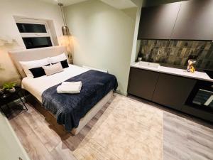Luxury city centre London flats, ideal for tourists