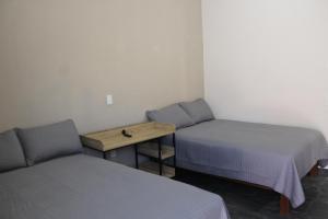 Lofts Sayula Independencia