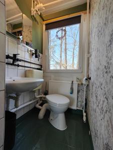 Kleine Freiheit Nummer 3