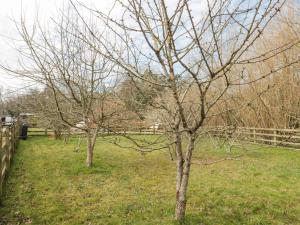 Bell tent 2