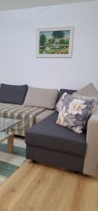 Vytauto Centriniai apartamentai