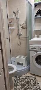 Vytauto Centriniai apartamentai