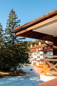 Гнездото на Гълъба