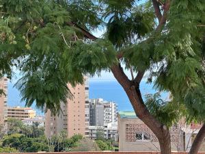 Tamara - Ubytování bez kategorie ve městě Torremolinos