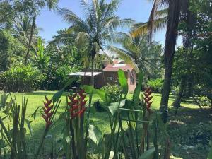 Susurro de estrellas