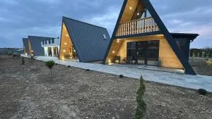 Cartisoara Linistea Muntilor - Viştea de Sus