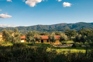 Quinta-lina de serpins
