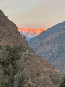 Mizuki Retreat and Cafe, Tirthan Valley